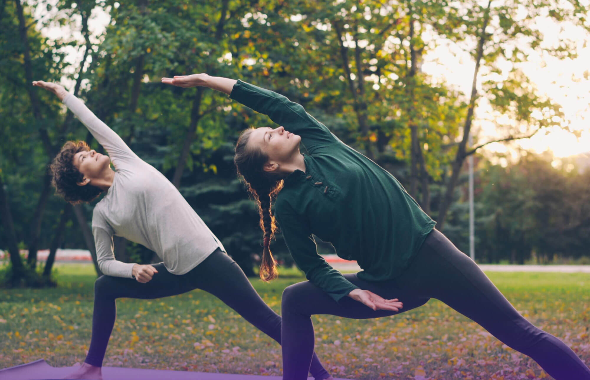your body is a physically structured - blog image